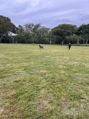 Kennedy Dog Park